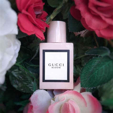 amaqzo profumo gucci|Gucci bloom 2017.